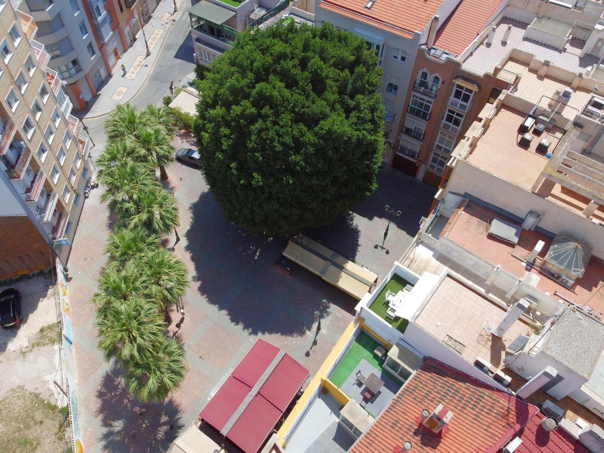 Nuevo Edificio Alba Centro Parking Appartement